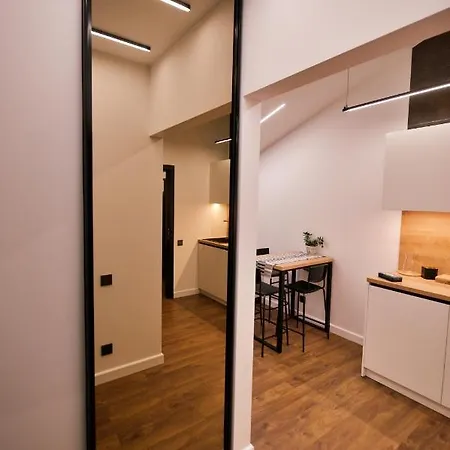 Last Floor Two Level With Fantastic View * リガ